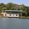 Lake Gatun, Panama is a resevior that provides water for the Canal Locks.  It is also a rainforest filled with an abundance of plant life and animals.