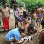 Allison Charlip, UVA, assisting in a Spay/Neuter Blitz in the Village of Embera.  Pre-op, shaving.